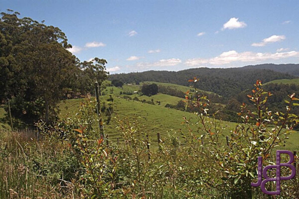 20-12 Great Ocean Road bij Apollo Bay
