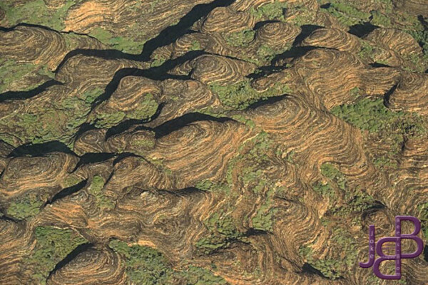 22-11 Bungle Bungles