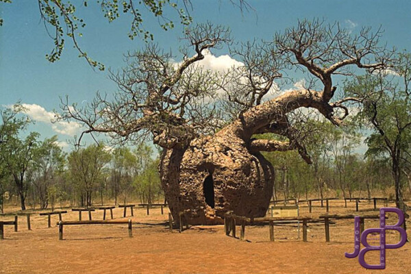 24-11 Derby Prison Boab